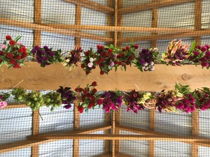 Waltham Fields Community Farm