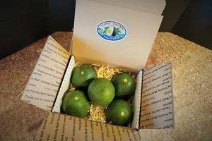 California Avocados Direct