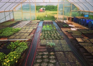 Lake Divide Farm