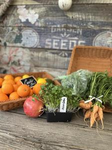 Rolling Hills Herbs & Annuals