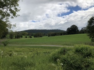 Beaver Brook Ranch