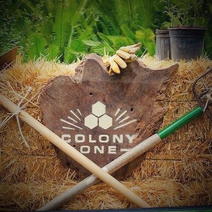 Colony 1 Fair Share CSA