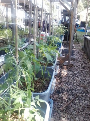 Jollie Baby Produce