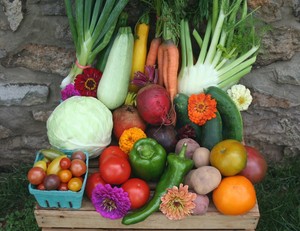 Sandbrook Meadow Farm