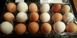 Hangtown Hen House