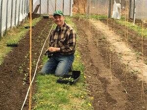 Rusty Plough Farm