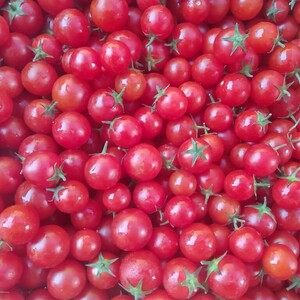 Organic Essentials
