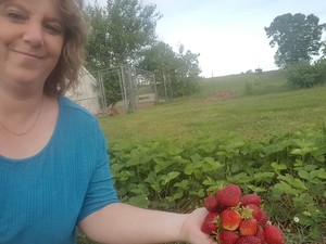 Rocky Top Farm