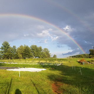 A Farm Less Ordinary
