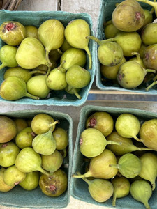 Down to Earth Ossining Farmers Market