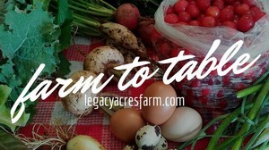 Legacy Acres Farm