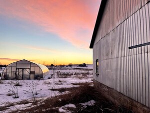 Knuckle Down Farm