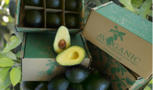 Avoganic