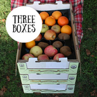 Frog Hollow Farm CSA
