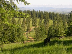 Double Aught Ranch