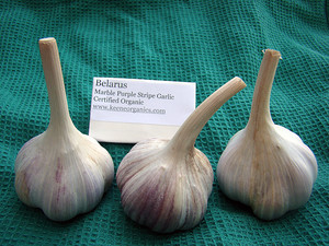 Keene Organics Garlic