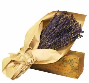 Purple Haze Lavender, Ltd.