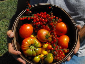 Madison Creek Farms