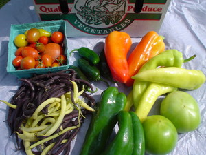 Videnovich Farms