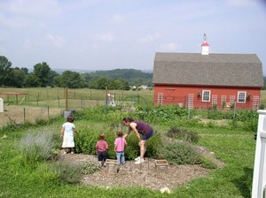 Sunset View Farm
