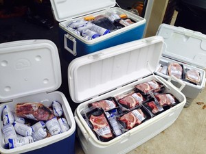 Omnivore Acres
