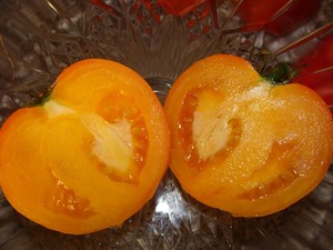 Tomato Addict