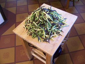 Fiddlehead Farm
