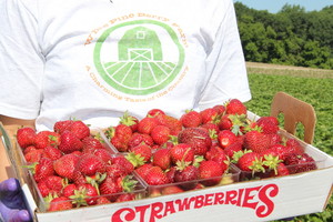 White Pine Berry Farm