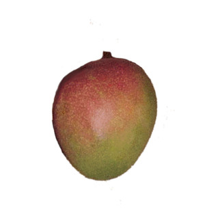 Pernas Groves