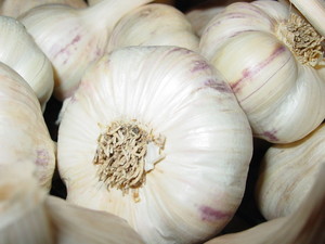 Keene Organics Garlic