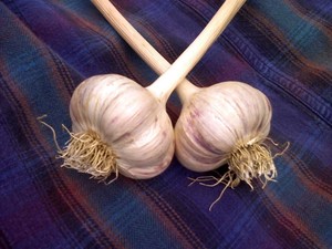 Garlic Deva