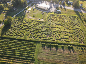 Lanni Orchards, Inc.