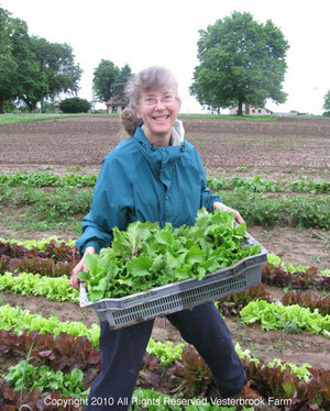 Vesterbrook Farm