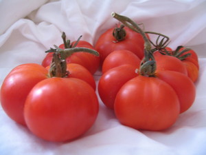 Boondockers Farm