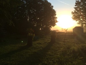 The Dancing Farm
