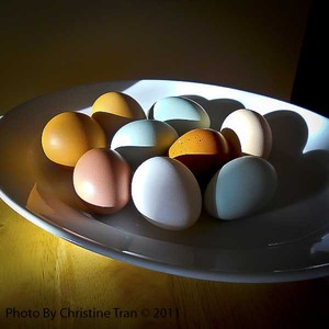Copper Hill Farm Eggs