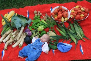 Upland Hills CSA