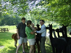 Wright Choice Alpacas