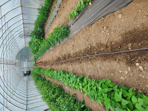 JandW Farm