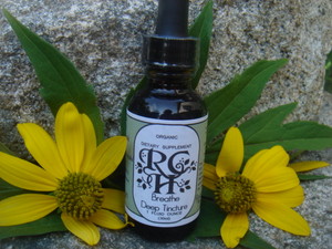 Root Cellar Herbs