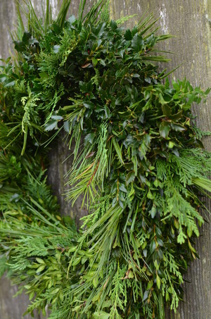 Blaithin Blair Boxwood Wreaths