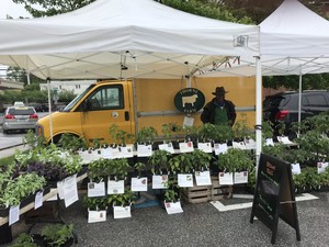 Downtown Westminster Farmers Market