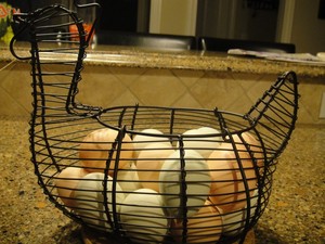 Cricket's Organic Garden