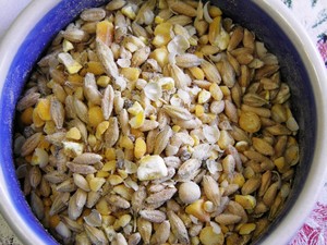 Camas Permaculture