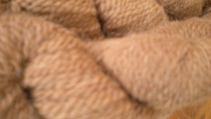 Northwoods Alpacas