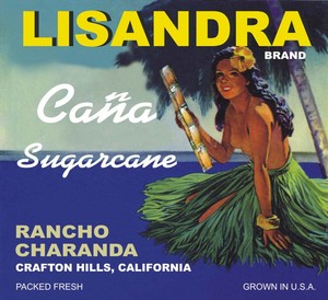 Rancho Charanda Citrus Ranch
