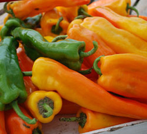 Organic Heirloom Plants