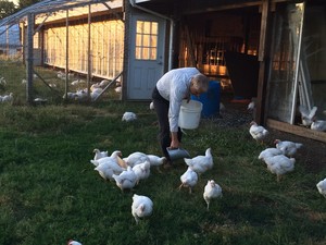 Kookoolan Farms LTD