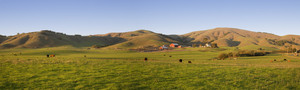 Dolcini's Red Hill Ranch Farm Stand