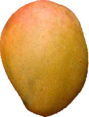 Pernas Groves